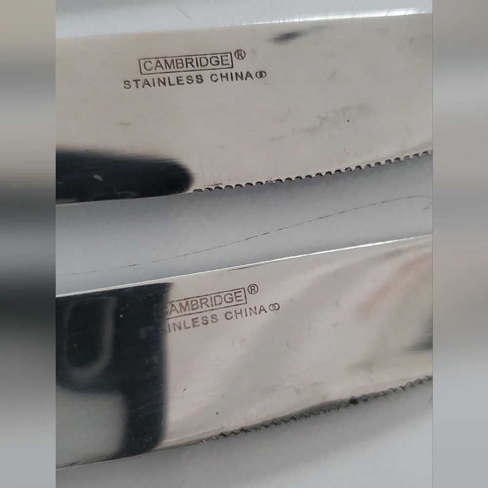 Cambridge Stainless‎ Crossroad Sand Pattern Dinner knives